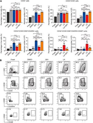 Levistilide A Promotes Expansion of Human Umbilical Cord Blood Hematopoietic Stem Cells by Enhancing Antioxidant Activity